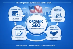What Is Organic SEO in the USA? Complete Guide for Businesses (2026)